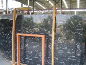 Ocean Jura / Black Fossil Marble Stone Slabs